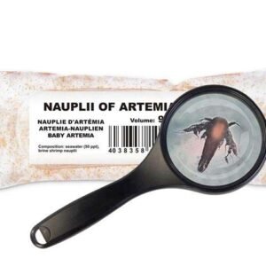 Artemia-Nauplien-Artemia-franciscana
