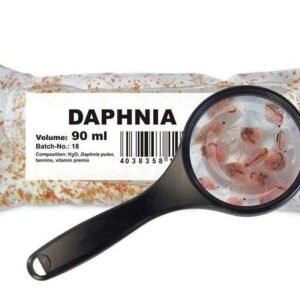 Gemeine Wasserflöhe (Daphnia pulex)