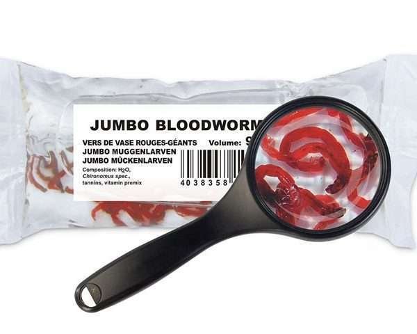 Jumbomueckenlarven-Chironomus