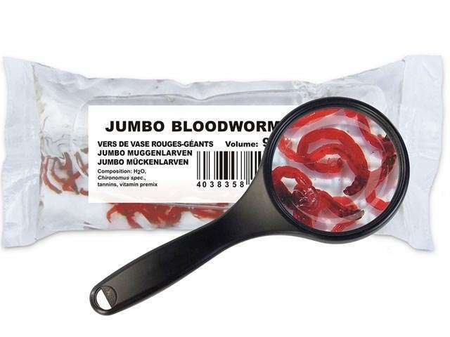 Jumbomueckenlarven-Chironomus