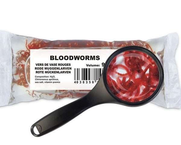 Rote Mückenlarven (Chironomus aprilinus)