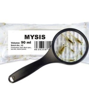 Schwebegarnelen (Mysis spec.)