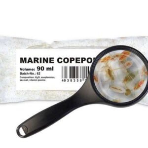 Seewassercopepoden (diverse Arten)