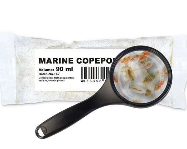 Seewassercopepoden (diverse Arten)